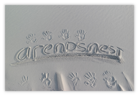 Arendsnest